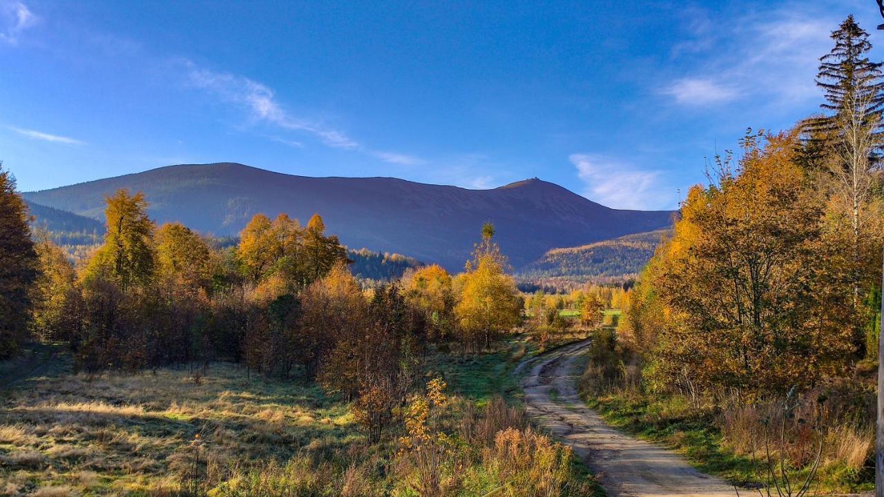 Koniczynka Hotel Sciegny Bagian luar foto