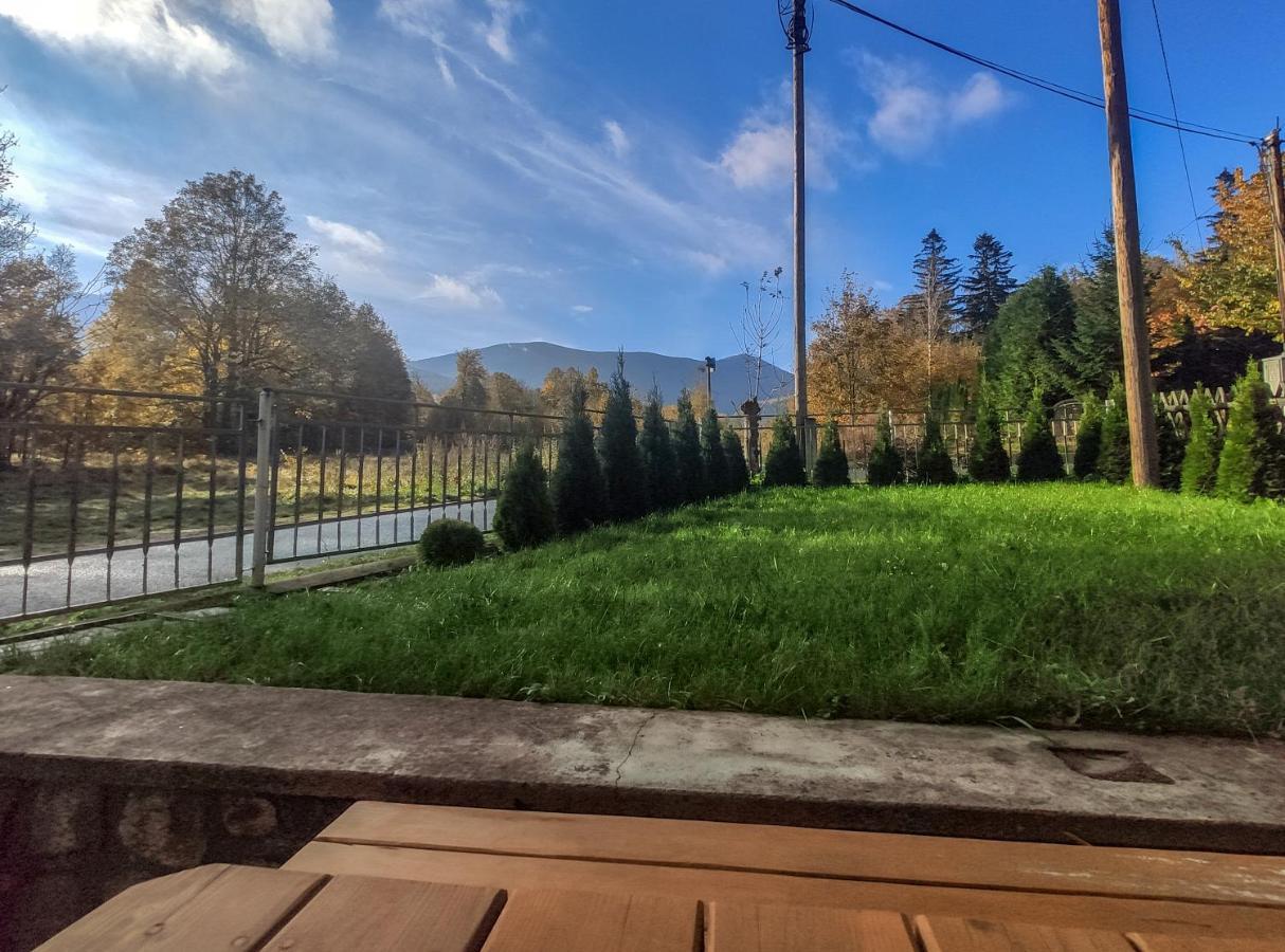 Koniczynka Hotel Sciegny Bagian luar foto